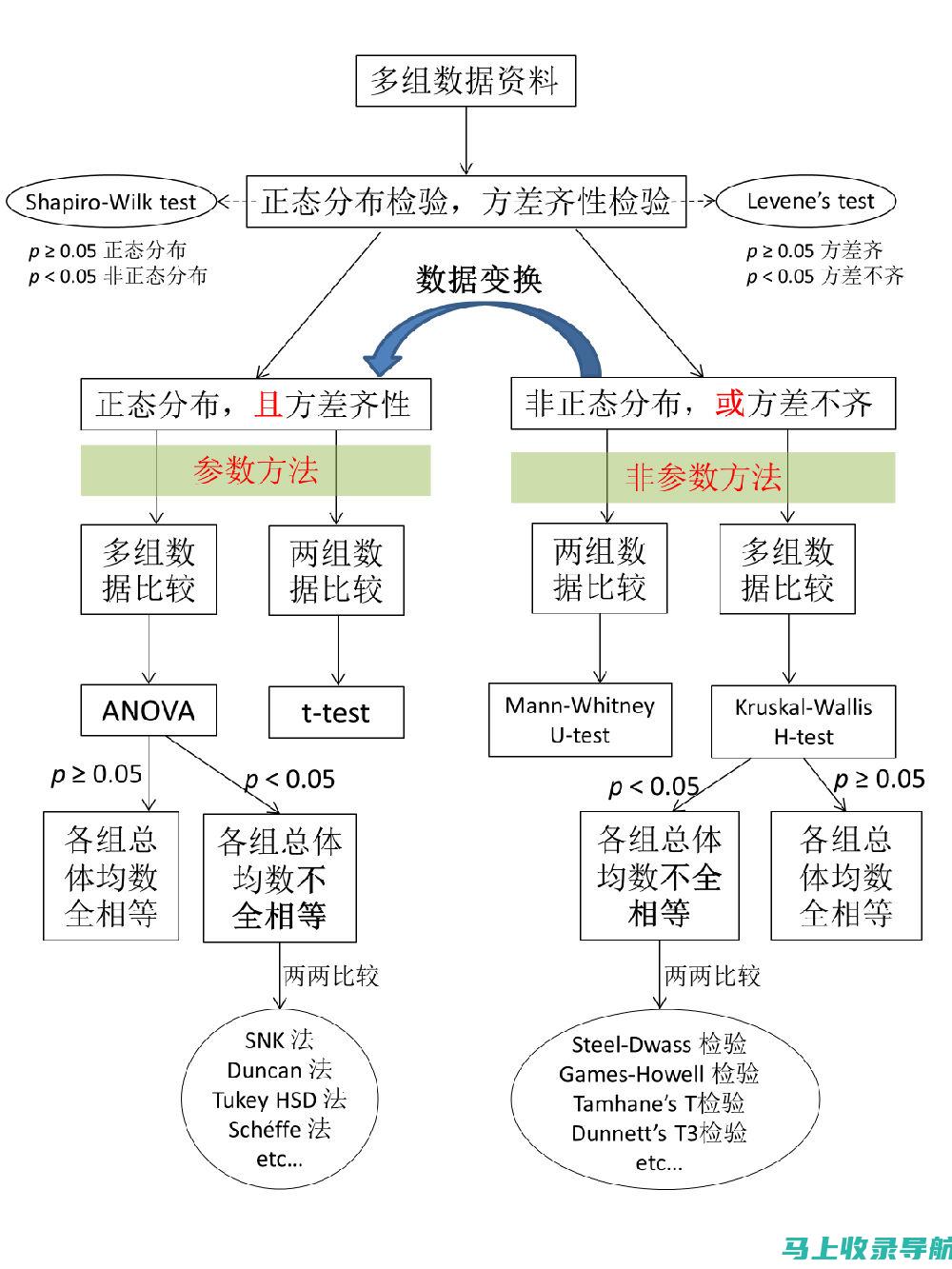 探讨为何统计站站长可以被视为中层干部及其职能定位的变化